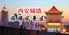 要大鸡巴操进小骚逼里小视频中国陕西-西安城墙旅游风景区