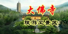 骚逼被艹视频中国浙江-新昌大佛寺旅游风景区